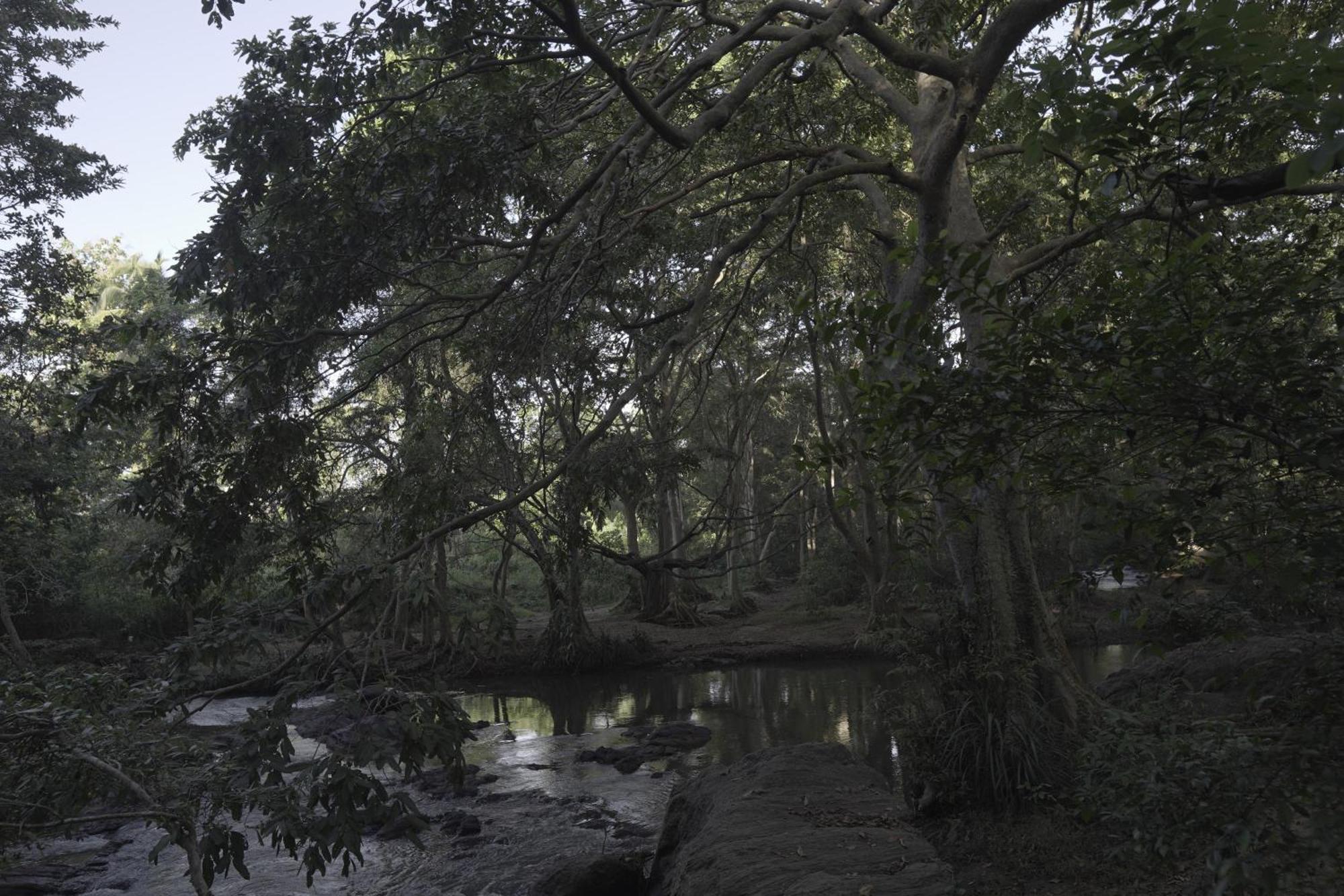 River Glamping By Gaga Bees Udawalawe Kültér fotó