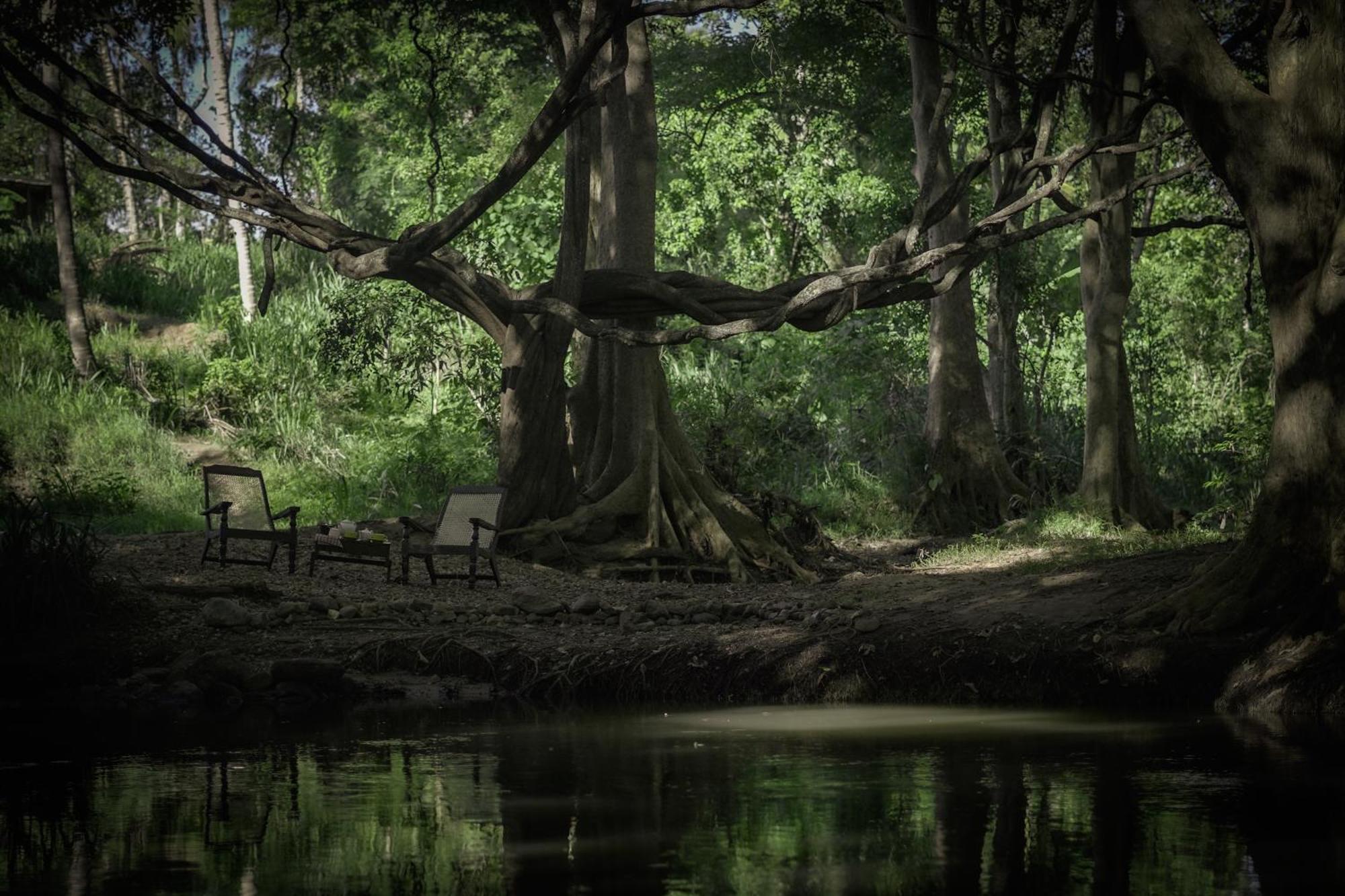 River Glamping By Gaga Bees Udawalawe Kültér fotó