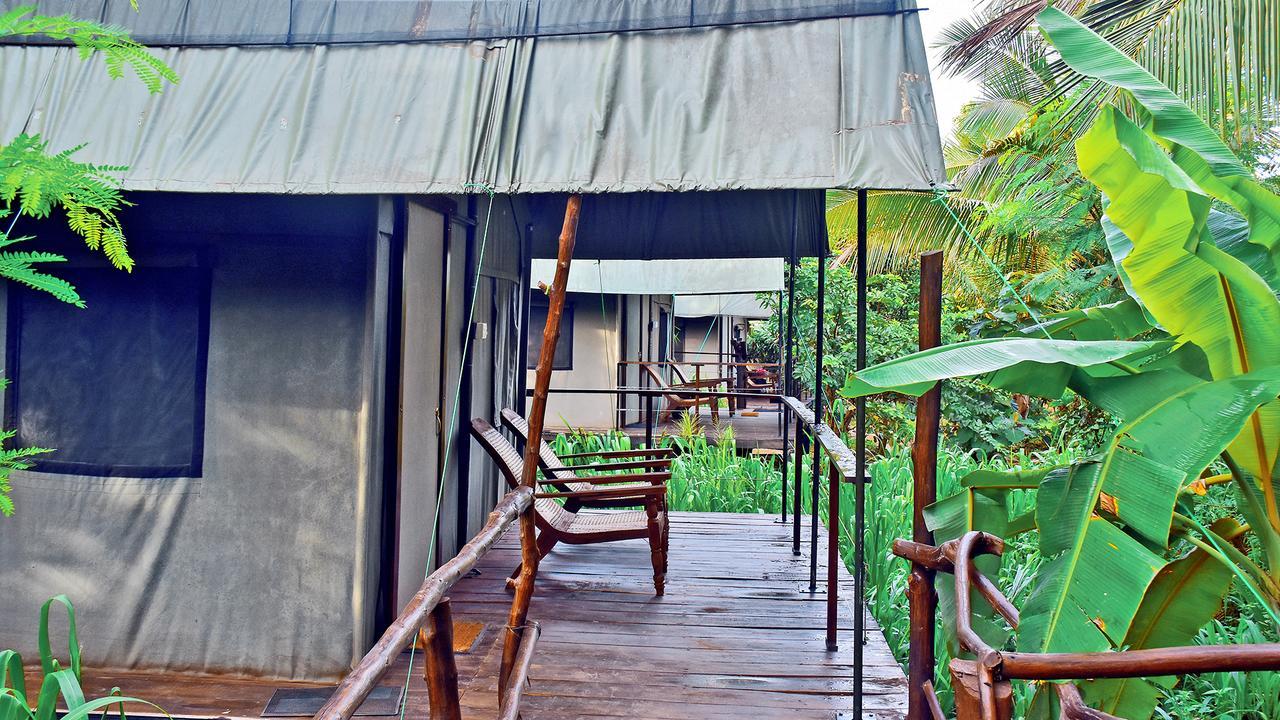 River Glamping By Gaga Bees Udawalawe Kültér fotó