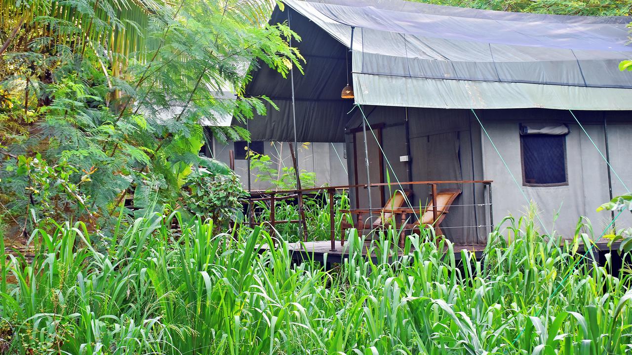 River Glamping By Gaga Bees Udawalawe Kültér fotó
