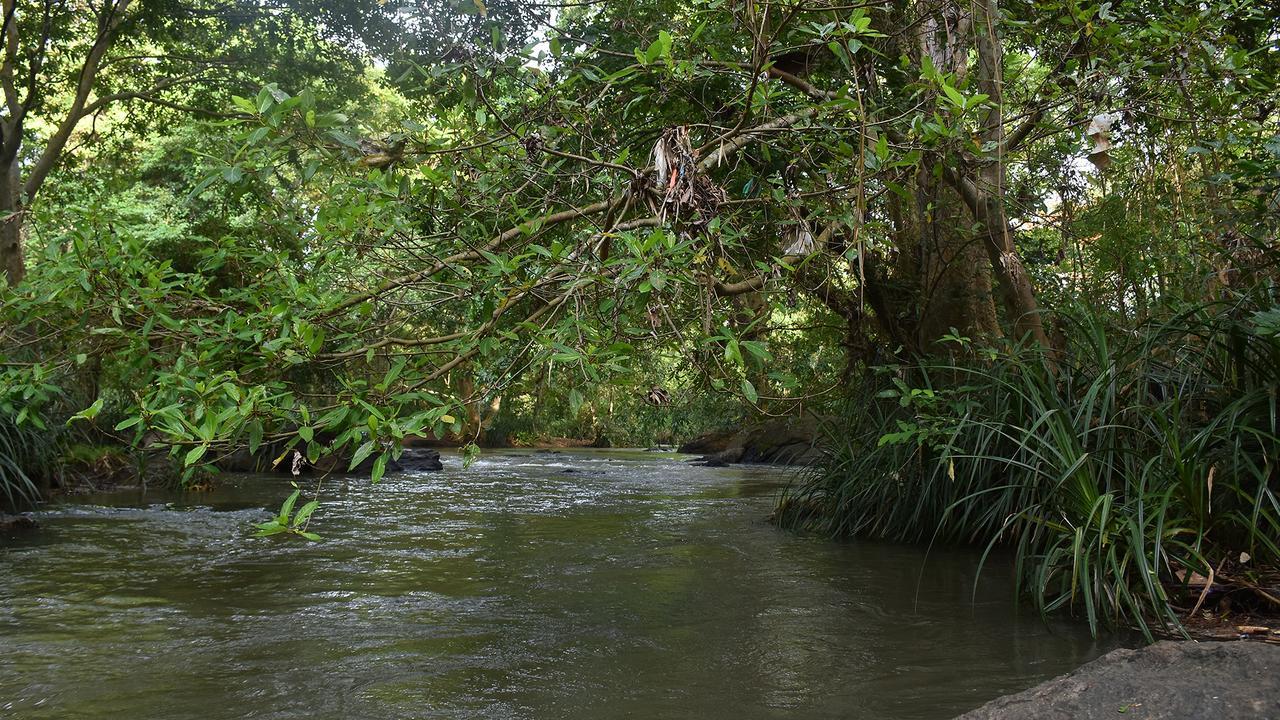 River Glamping By Gaga Bees Udawalawe Kültér fotó