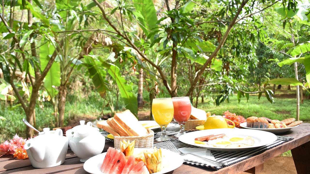 River Glamping By Gaga Bees Udawalawe Kültér fotó