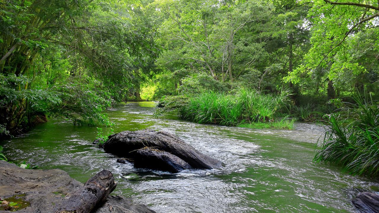 River Glamping By Gaga Bees Udawalawe Kültér fotó